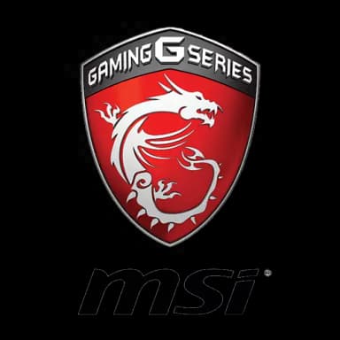 Msi logo webp